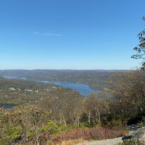 Meet your Posher, Adrienne